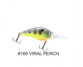 viral-perch